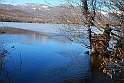 Lago Piccolo di Avigliana ghiacciato_034